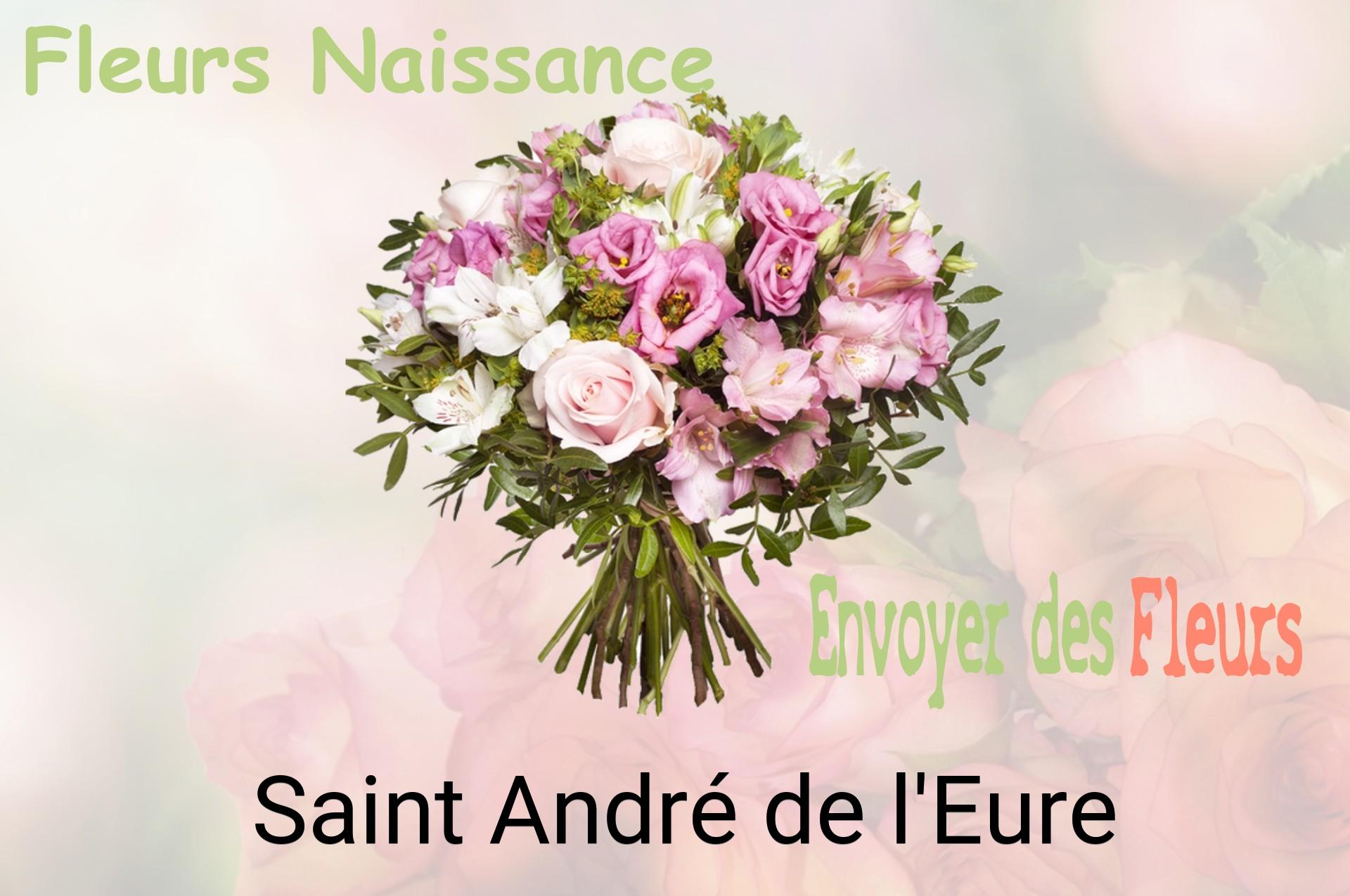 Bouquet de fleurs de naissance livré à Saint-André-de-l'Eure